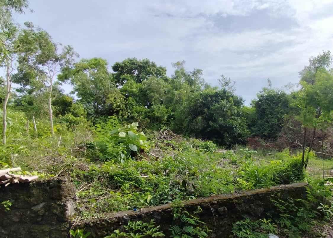 For Sale Freehold Land in Ungasan Pura Masuka Yellow Zone — photo 3