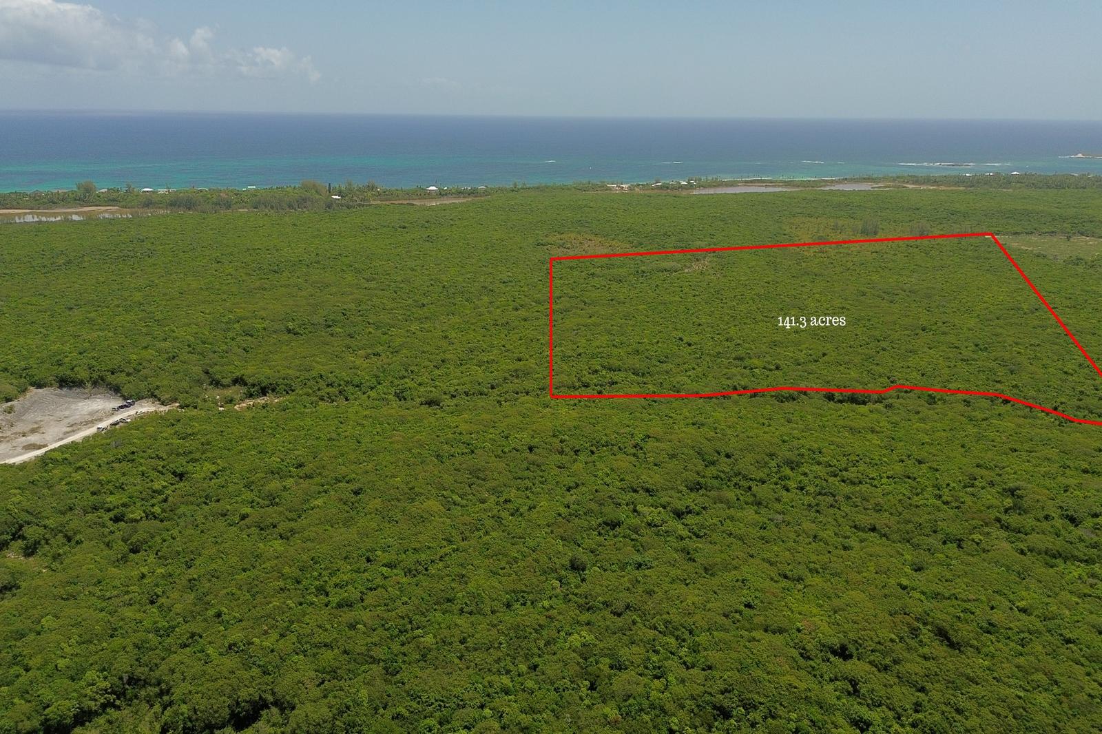 141.3 ACRES BURNS POND — photo 4
