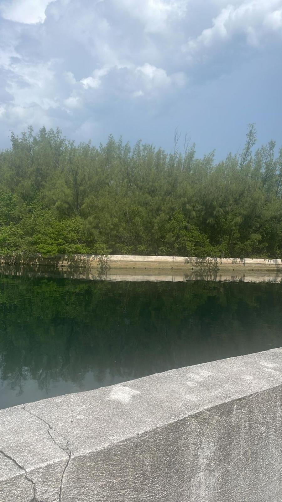 Windsor Bay 0.55 Acre Lot — photo 3