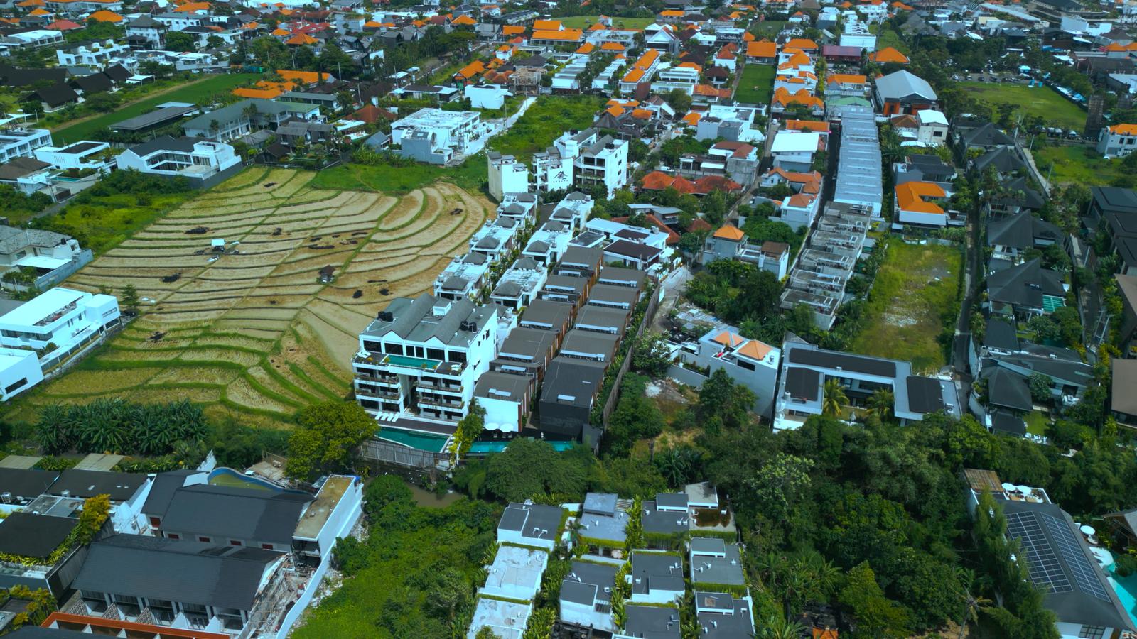 Sunny Cuddles Resort Apartments in Bali — photo 3