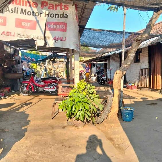 Studio house in Singaraja — photo 1