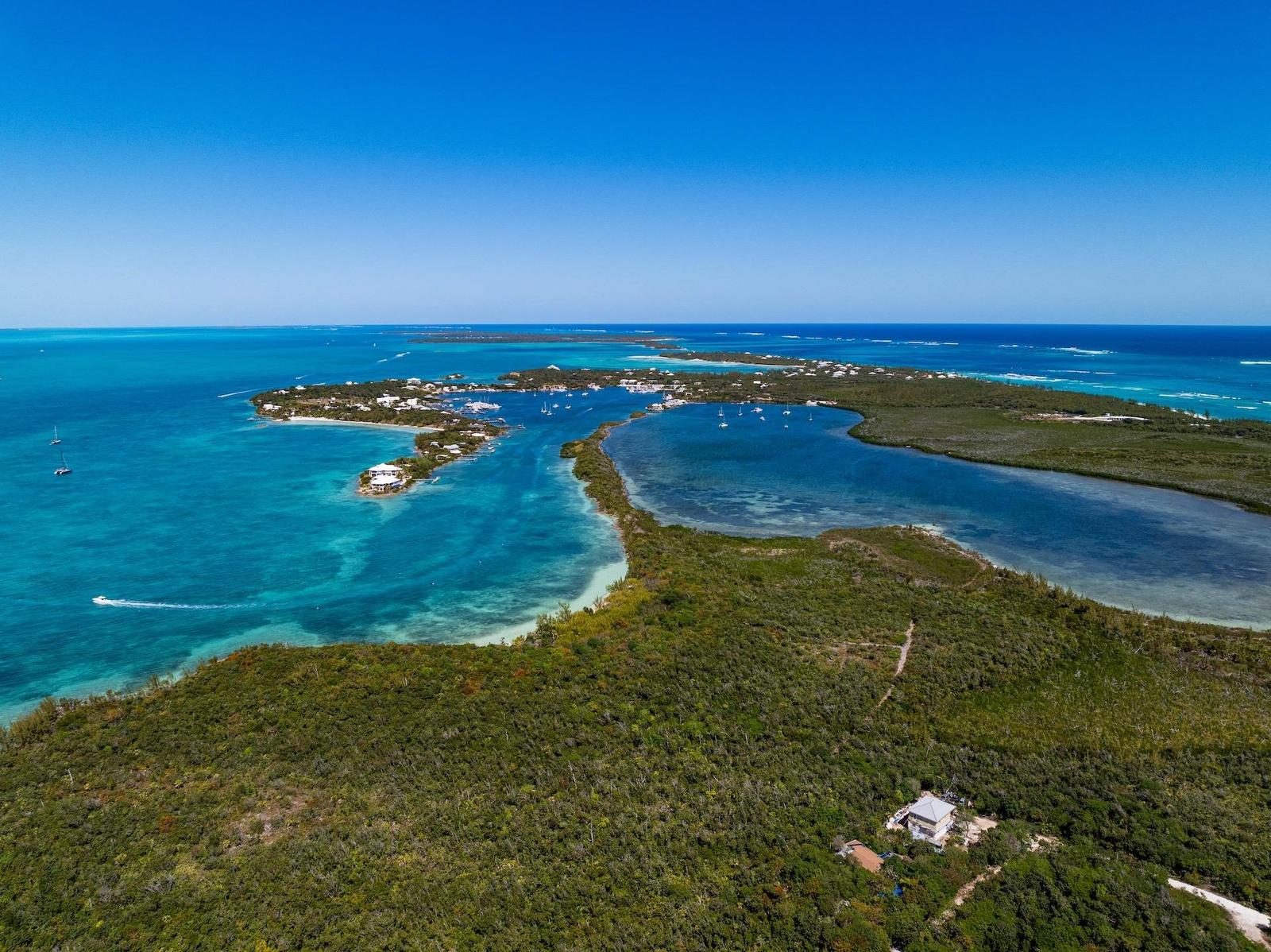 64.67 Acres Green Turtle — photo 4
