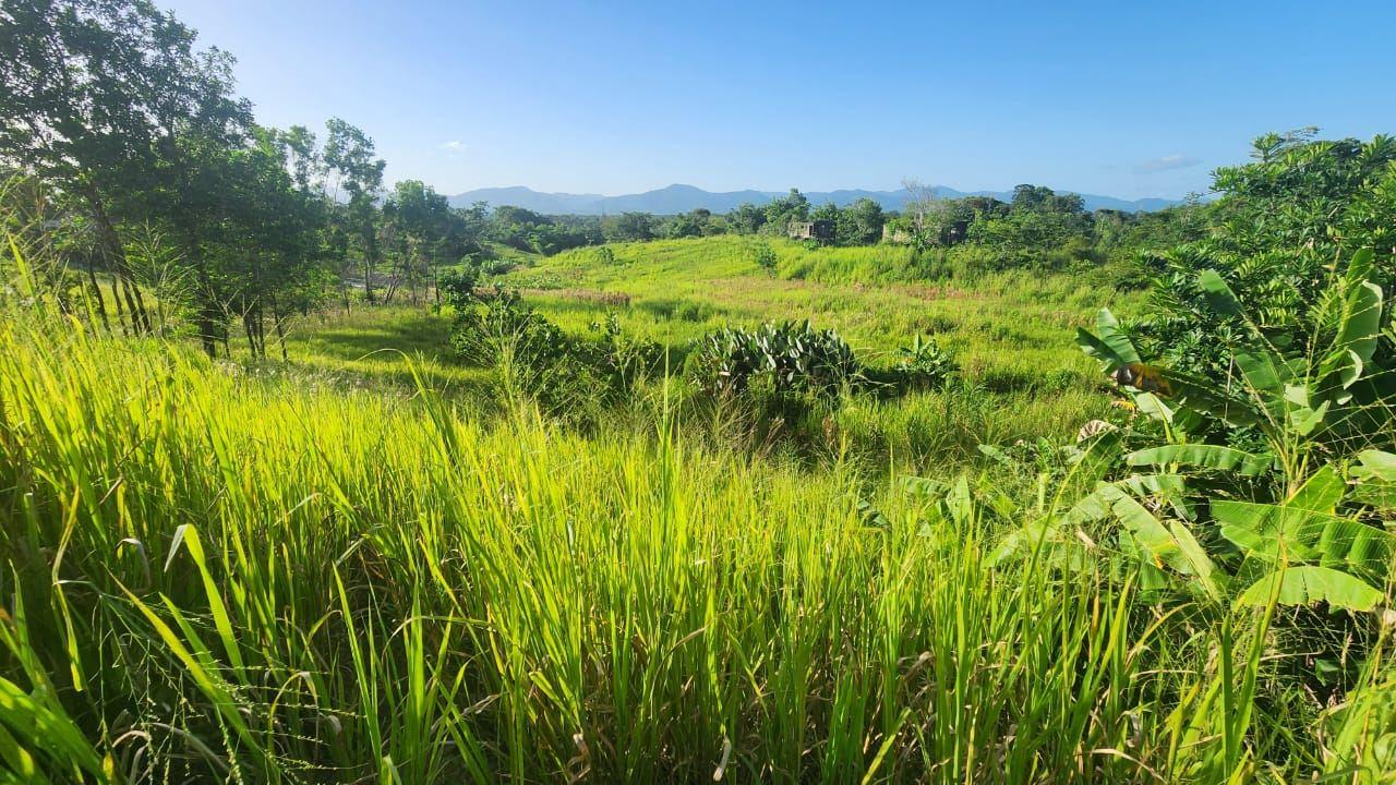Scenic Residential Land for Sale Las Lomas — photo 1