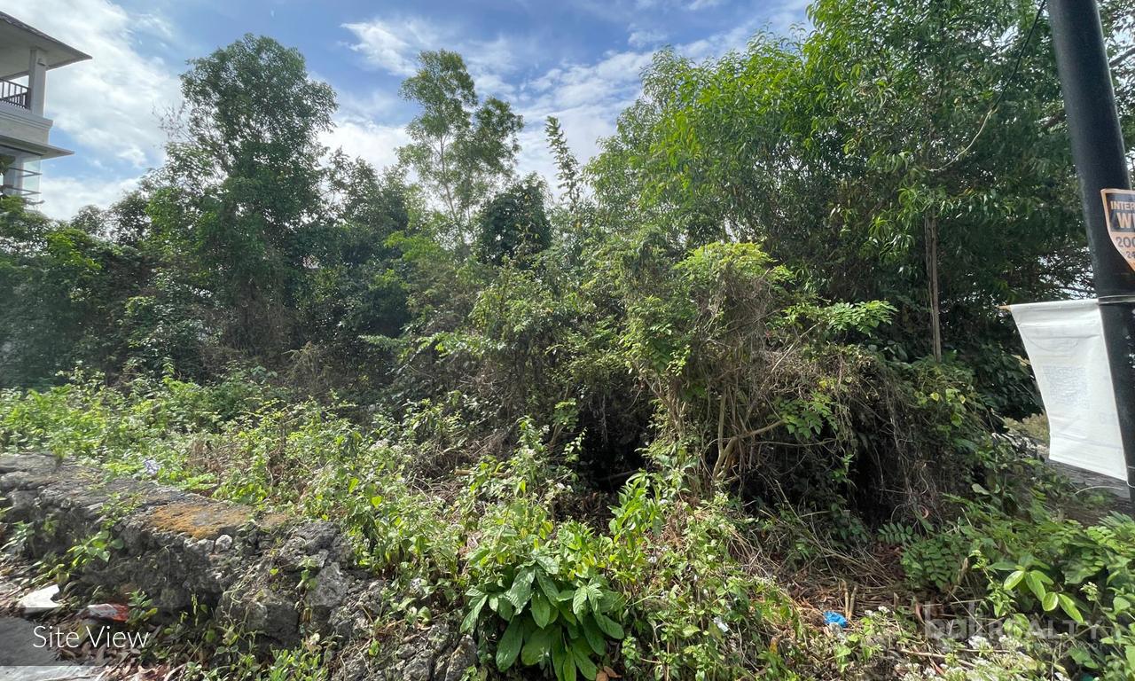 20 ARE Investment Opportunity in Balangan Near the Beaches - 2804 — photo 4