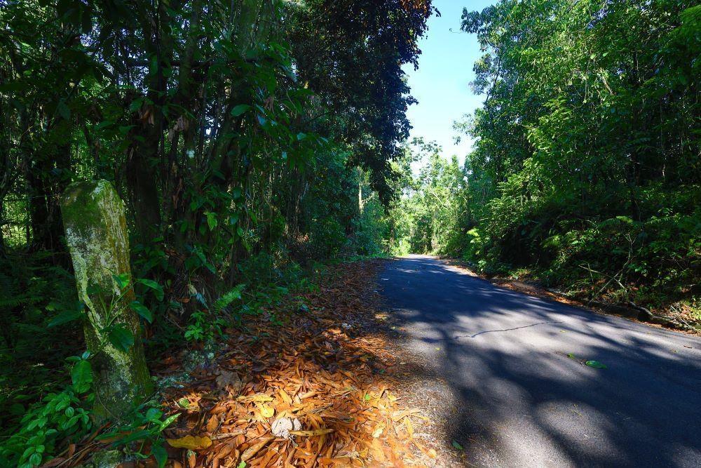 Land For Sale in Nonsuch, Portland, Jamaica — photo 2