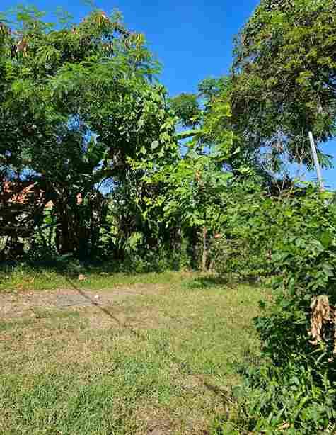 Strategic Land Investment Opportunity Near Sanur, Bali — photo 3
