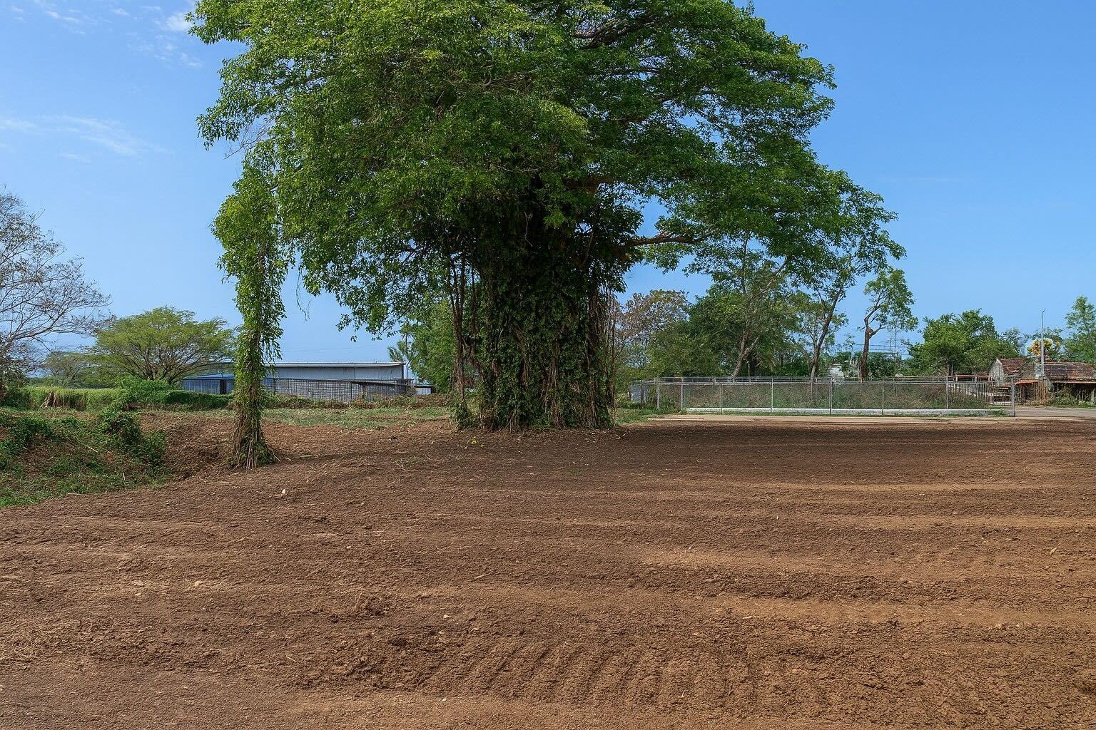 Land in Bo. Caimital Alto, Aguadilla — photo 3