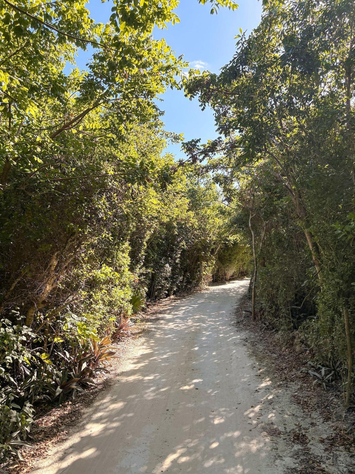MAN O WAR CAY — photo 2