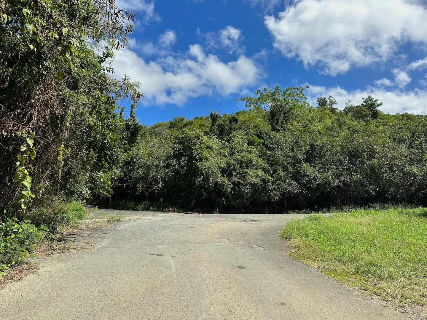 0.69 Acre Lot in Little La Grange, US Virgin Islands — photo 4