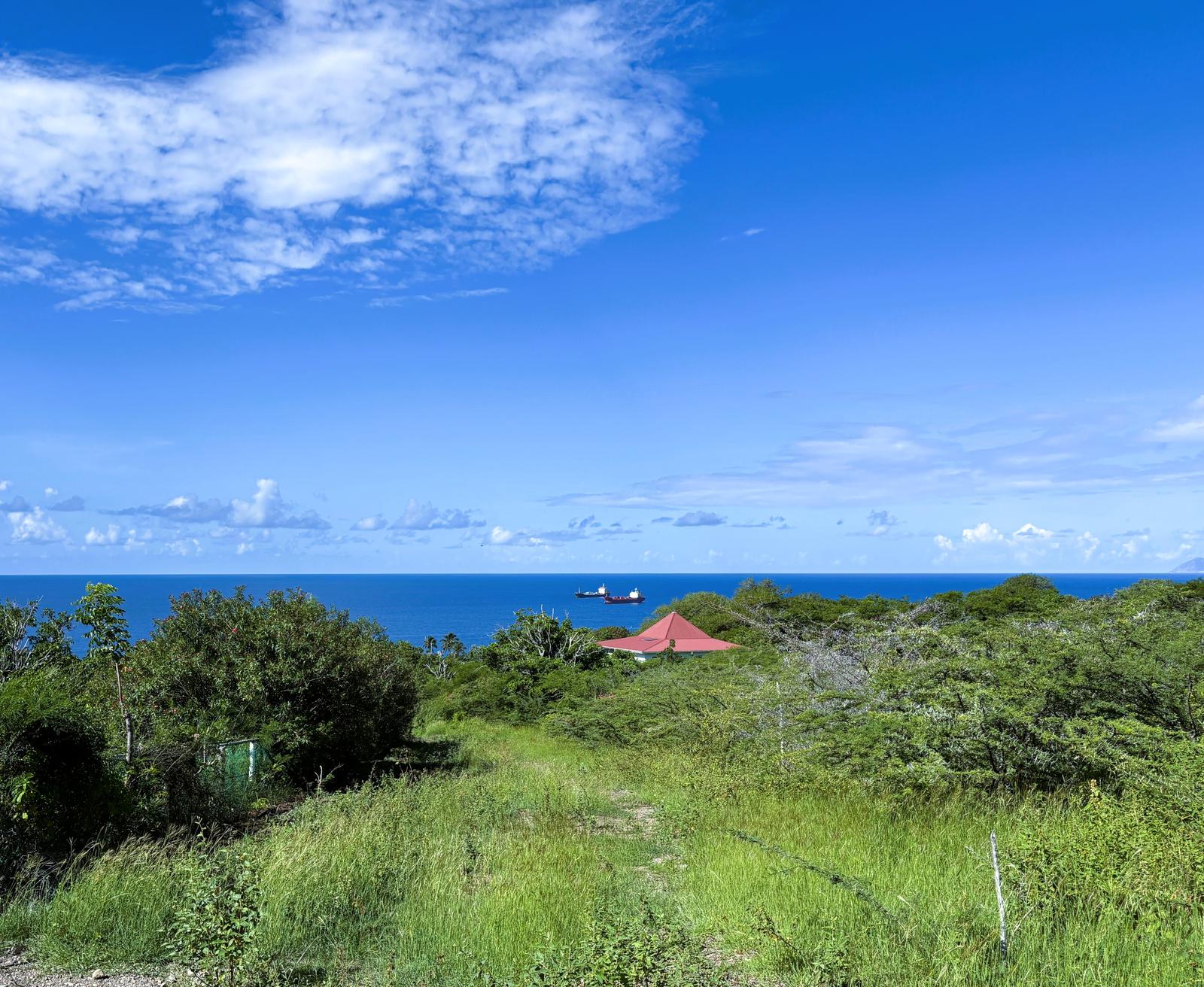 Statia Island 1 Acre Lots In Union Estate For Sale - Off The White Wall Road Sint Eustatius — photo 4