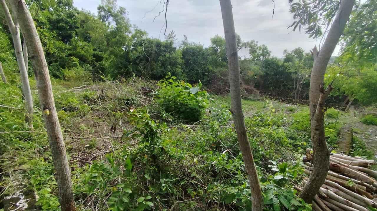 For Sale Freehold Land in Ungasan Pura Masuka Yellow Zone — photo 5