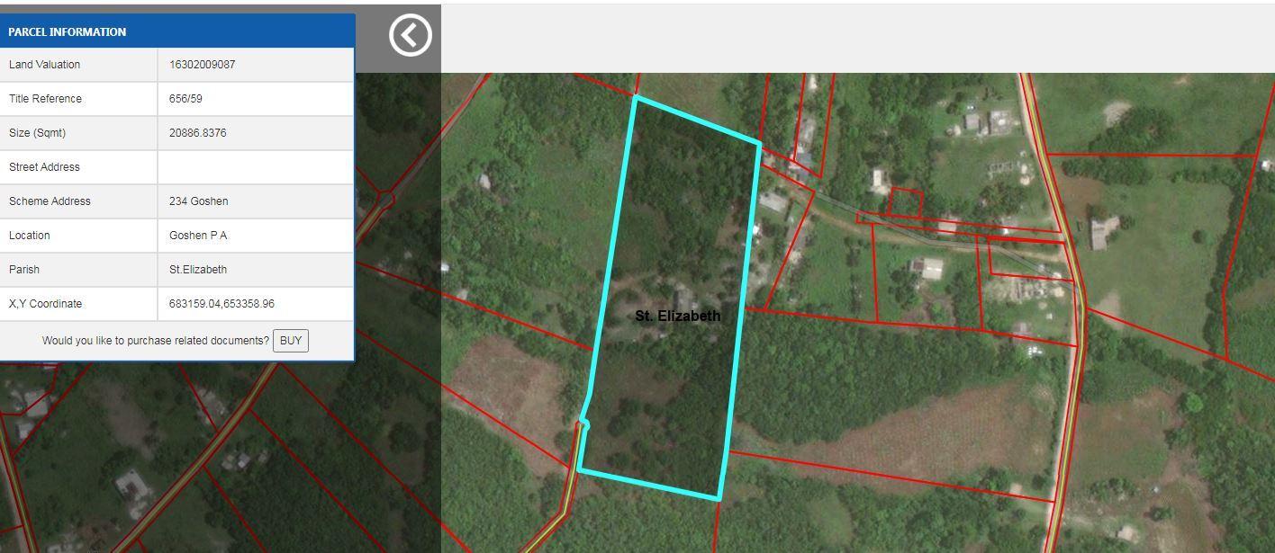 Goshen St Elizabeth 5 Acres Lot — photo 5