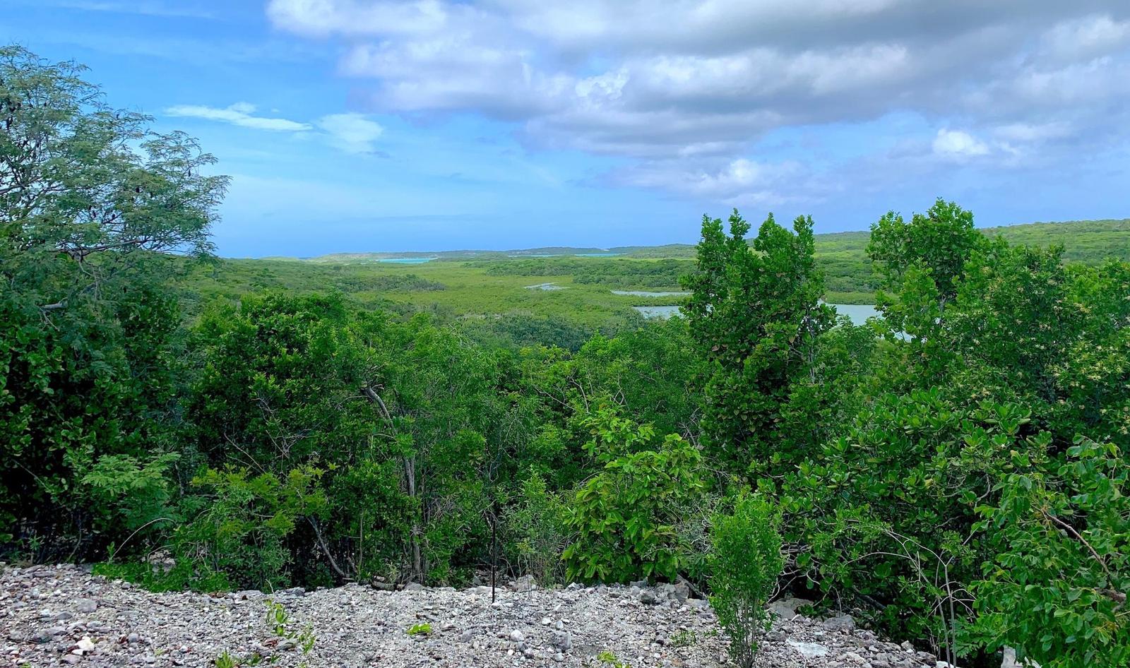 SEYMOUR’S HILLTOP SEAVIEW — photo 1