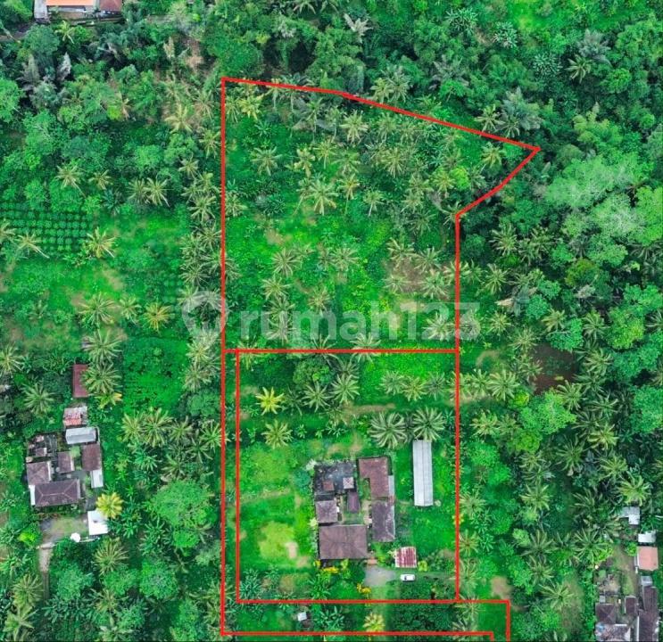 Cheap Land for Sale - Border of Tampaksiring & Tegallalang, Bali — photo 4