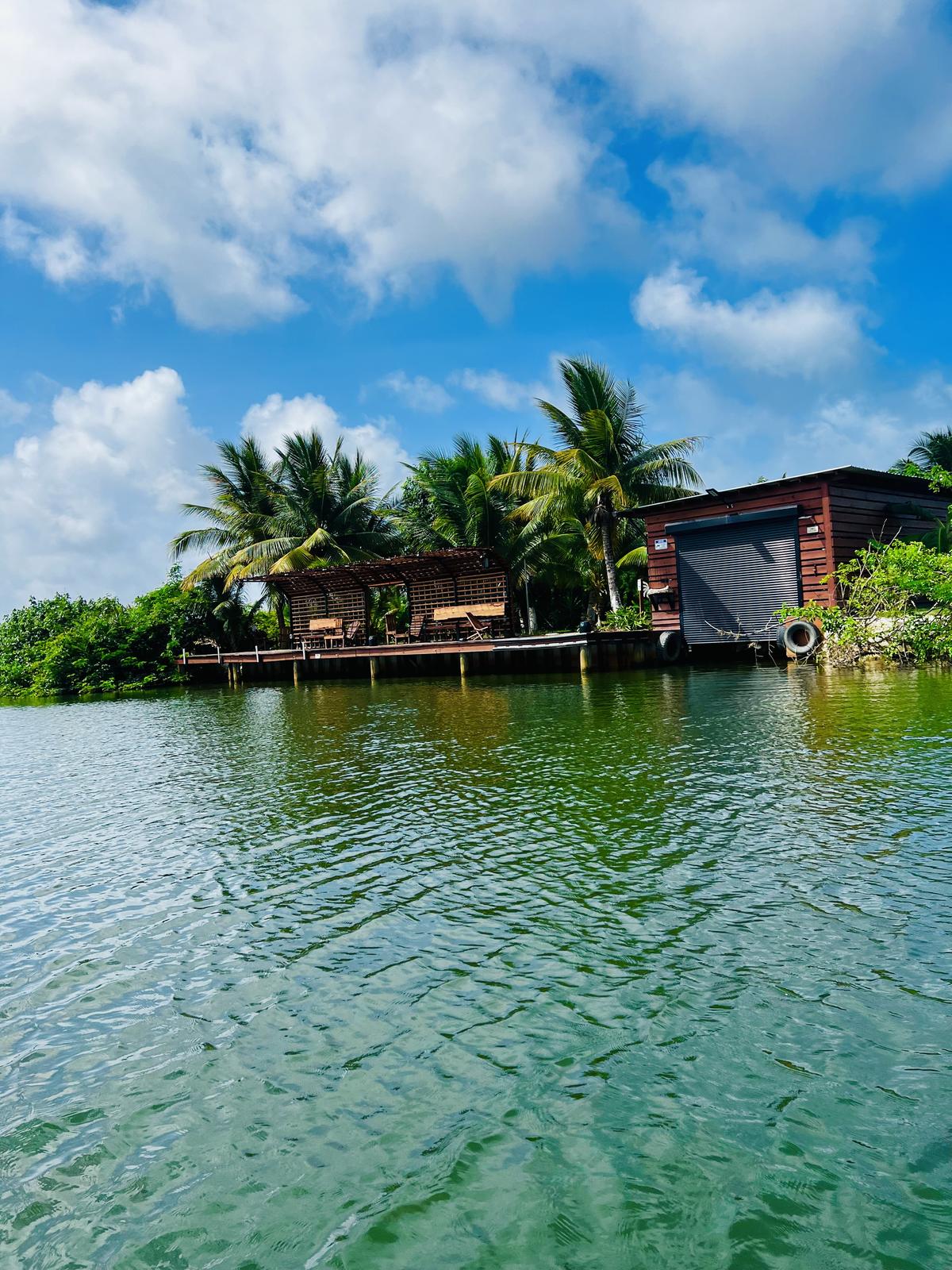 Sittee River Dream Property With Dock | Builder Grade (Lot 137) — photo 4