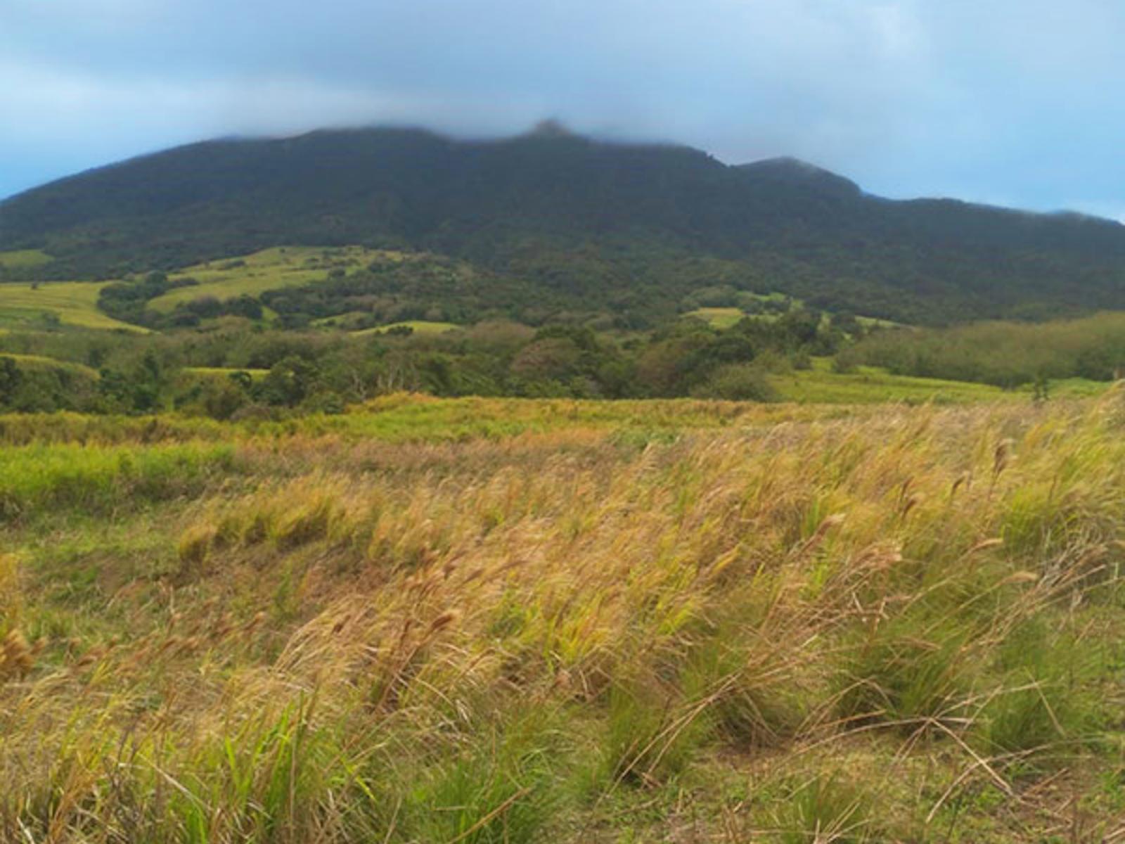 0.17 Acre Lot for Sale, Beaumont Country Estates, St Kitts — photo 1