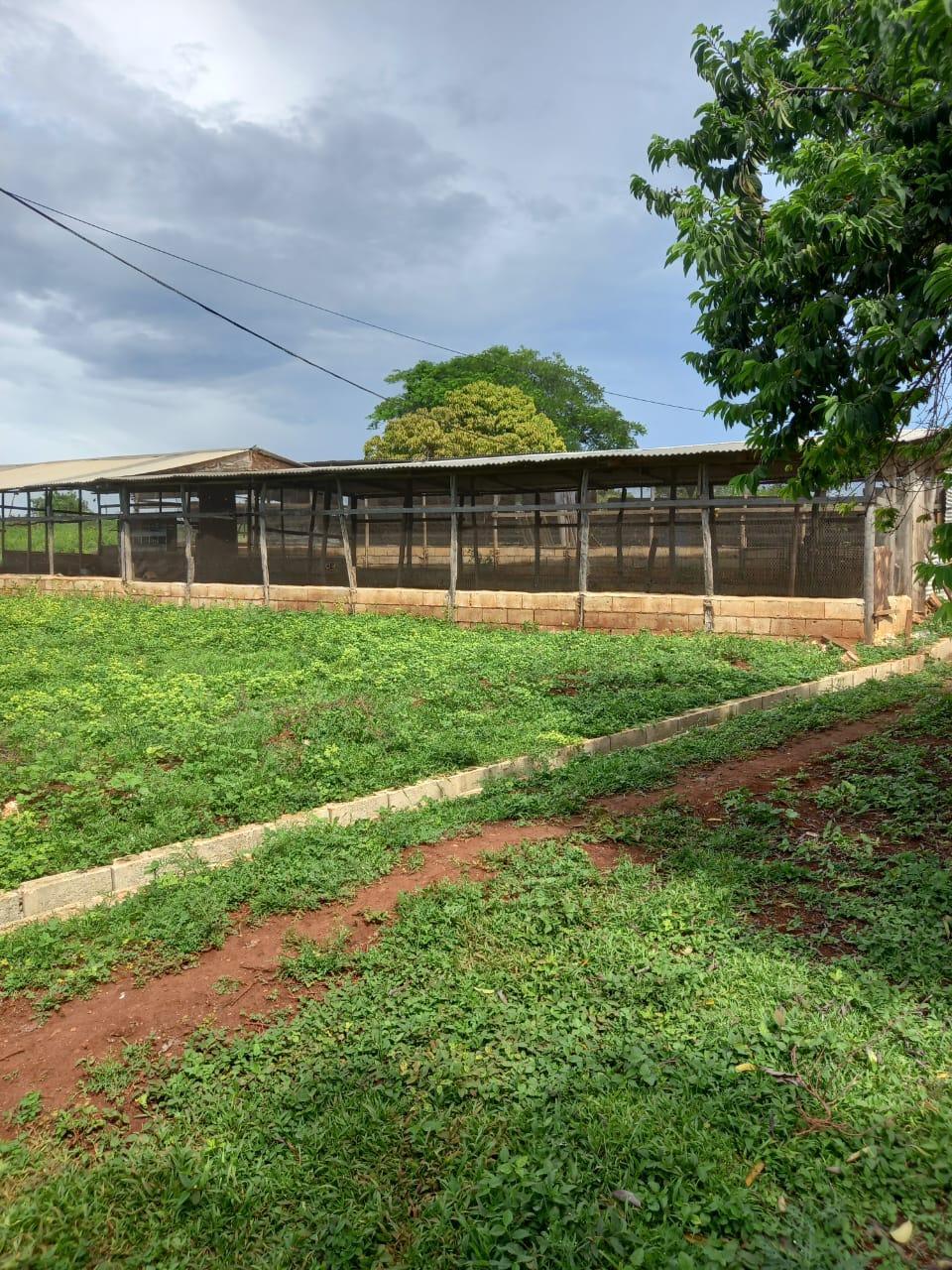 DOVER, GUANABOA VALE P.O. St. Catherine Guanaboa Vale — photo 4