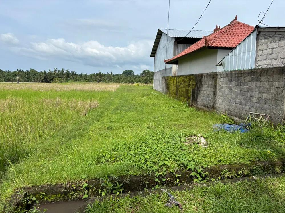 For Sale: Freehold Land 15 Are in Tabanan – Residential Zone (Yellow) — photo 2
