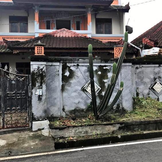 5-bedroom house in Denpasar — photo 1