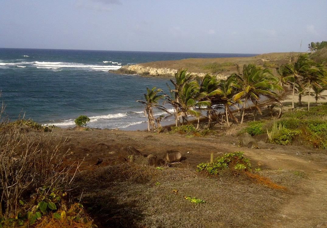 33.2 Acres Beachfront Land for Sale, Cannelles, Vieux Fort, St Lucia — photo 1
