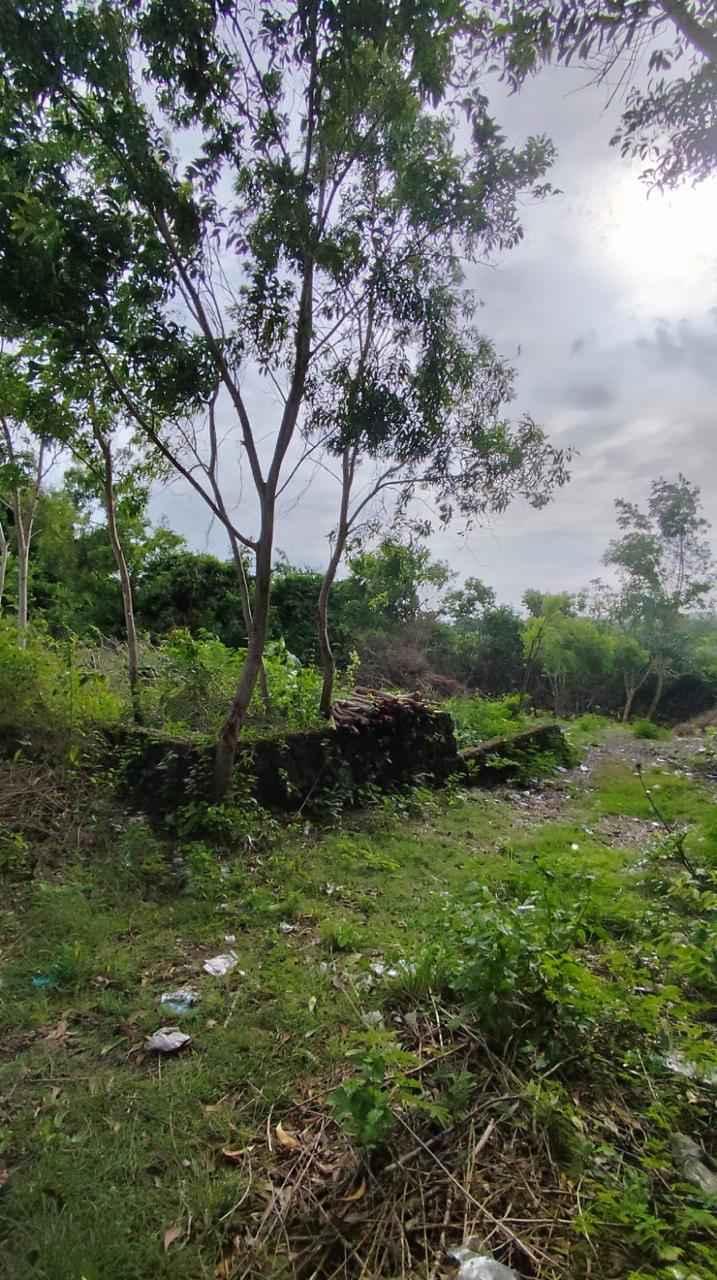 For Sale Freehold Land in Ungasan Pura Masuka Yellow Zone — photo 4