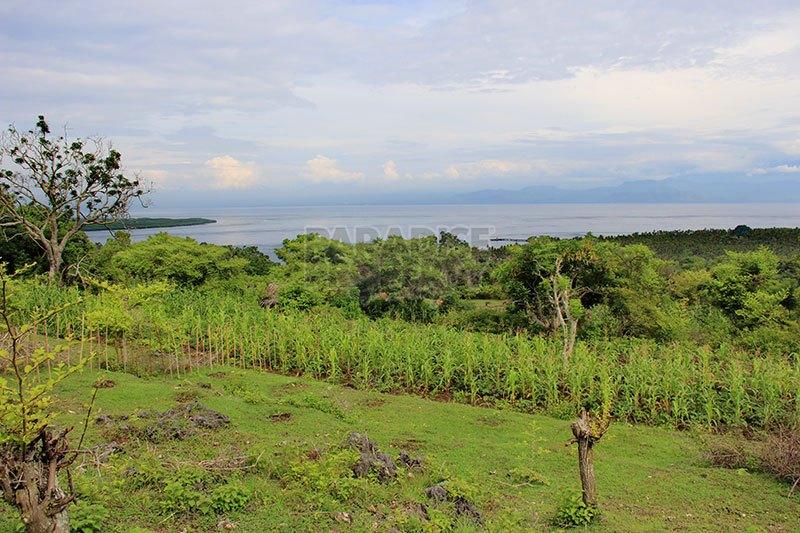3,910 m2 Terraced Land For Sale amidst Peaceful Surroundings in Toyapakeh — photo 2