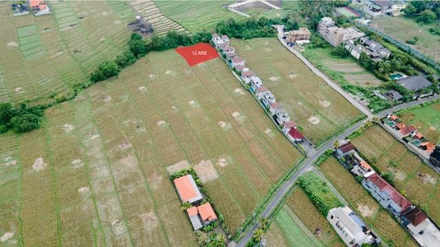Prime Location, Incredible Value – Leasehold Land with High Growth Potential Near Cemagi Beach - 2360 - BALI REALTY — photo 1
