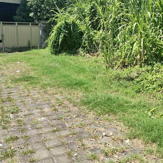 Land plot for sale in Denpasar — photo 1