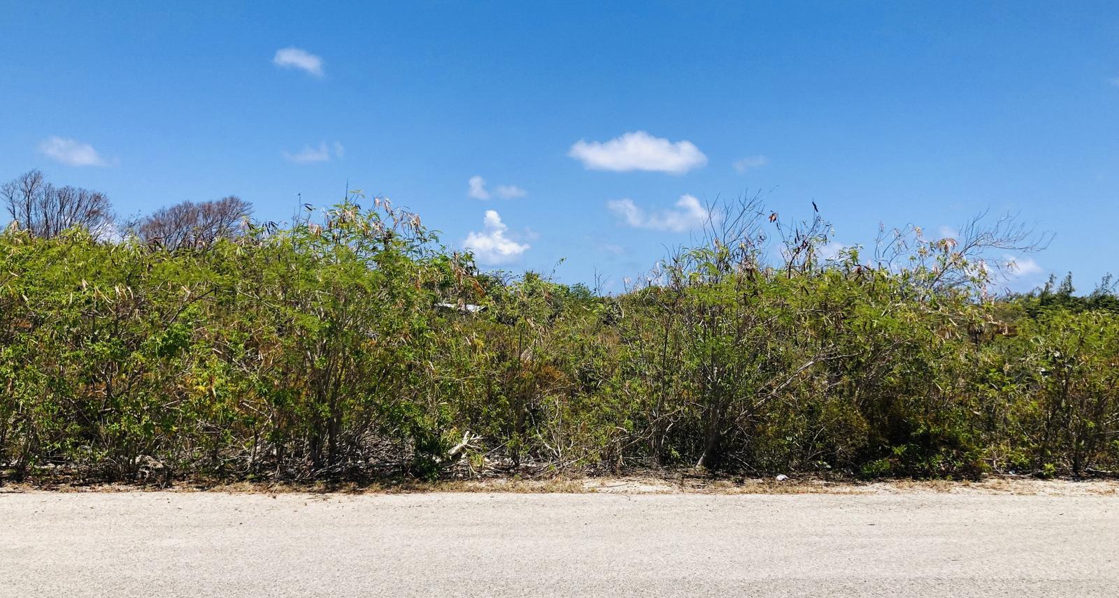 Colliers Duplex Lot - .32 Acres — photo 1