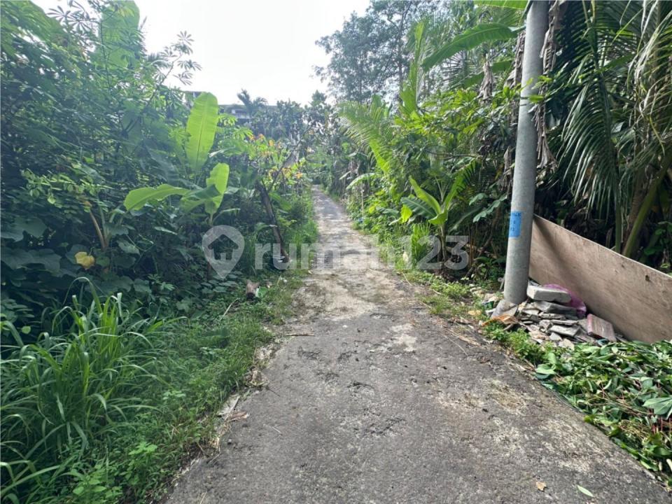 Land 5 Are in Pecatu, South Kuta — photo 2