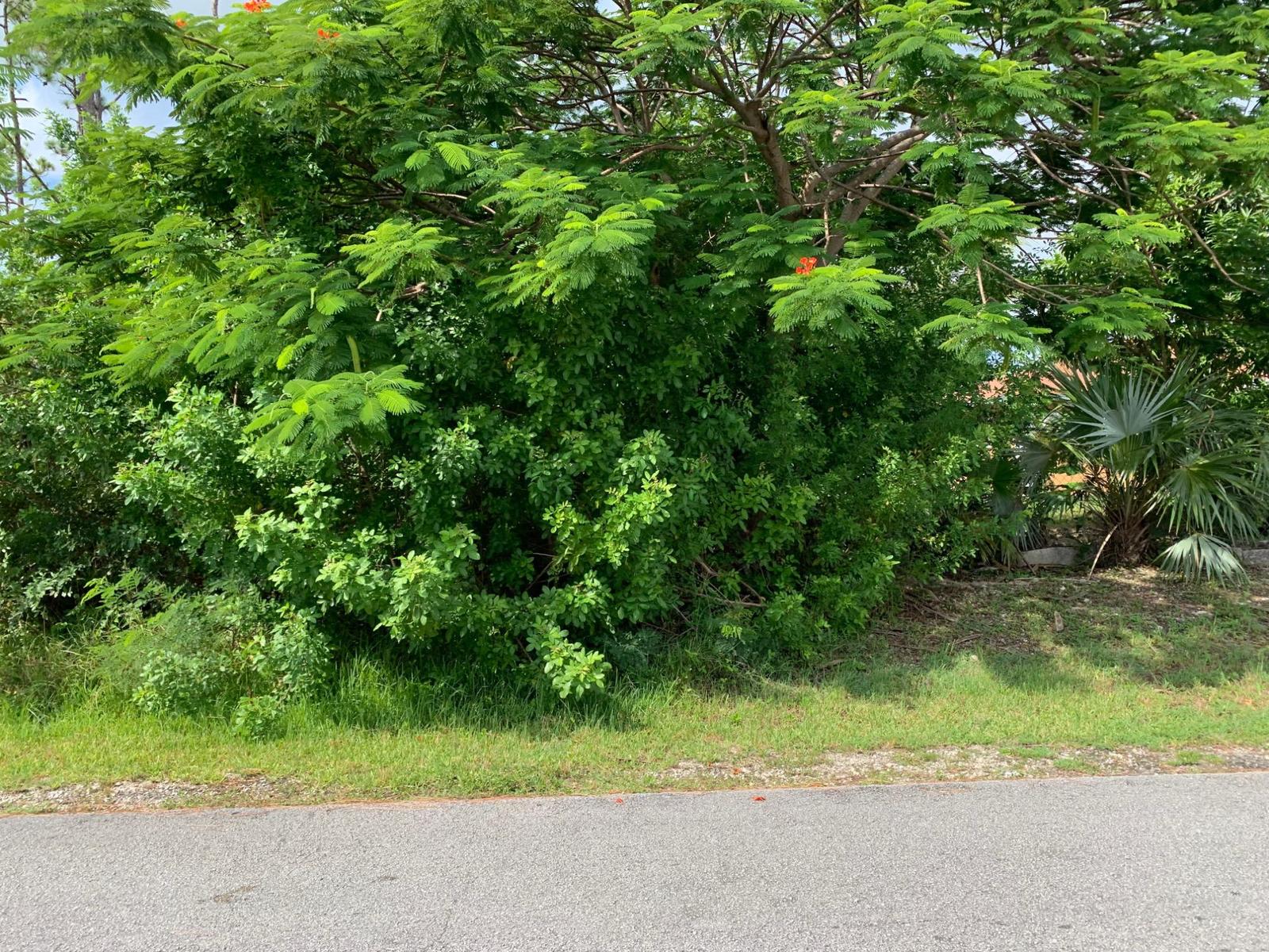 WREXHAM DRIVE — photo 1