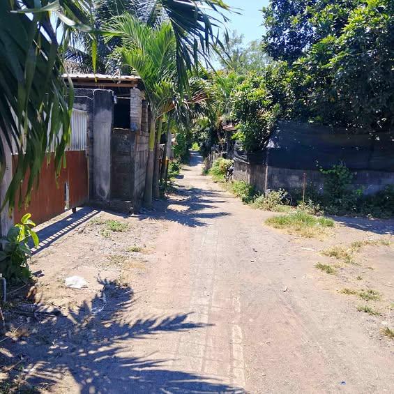 Studio house in Karangasem — photo 1