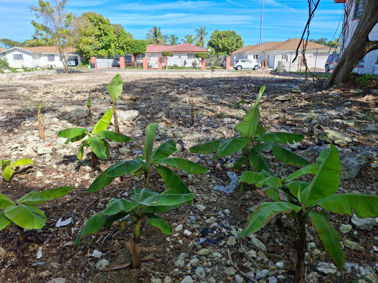 YAMACRAW VACANT LOT! — photo 5