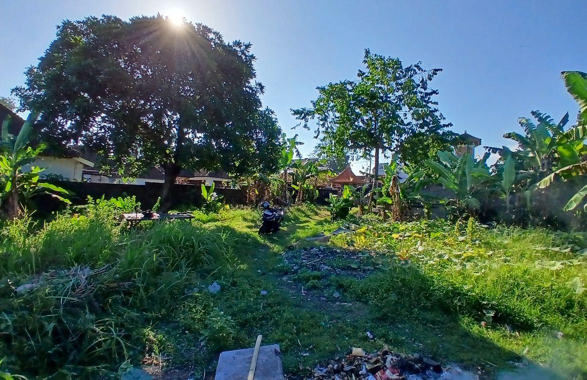 1,276 sqm freehold land with rice field views in Bumbak — photo 4