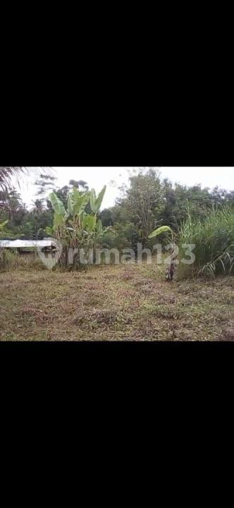 Super Cheap Land North Taro Ubud Ready to Build — photo 1