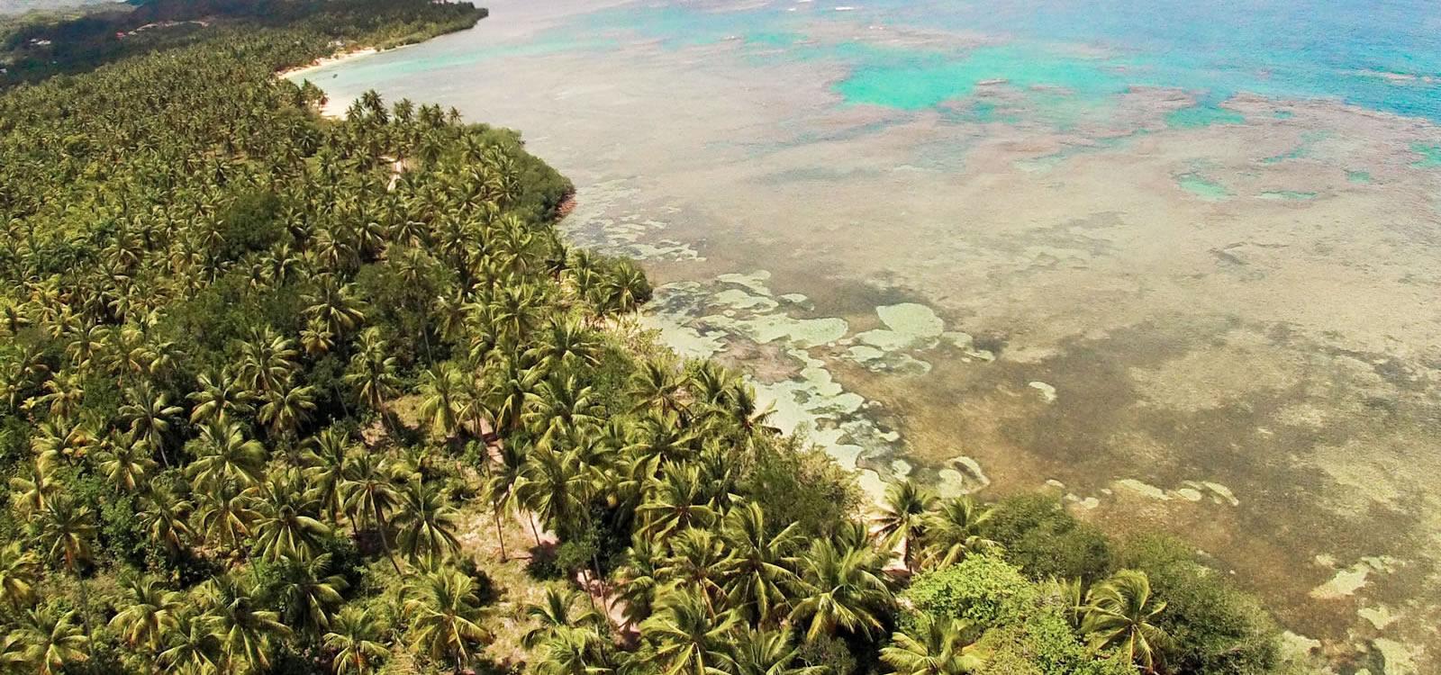 94 Acres Beachfront Land for Sale near Las Terrenas, Samana — photo 3