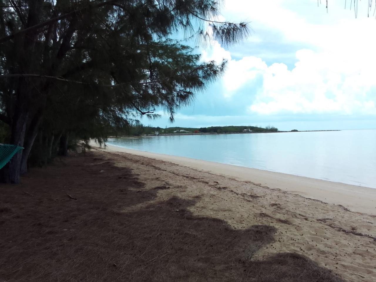 ALLIGATOR BAY — photo 5