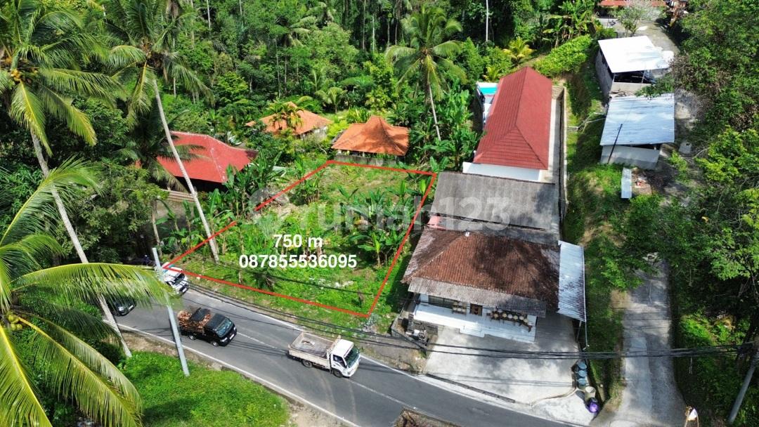 750 sqm land plot in Ubud, close to Capella Ubud — photo 3
