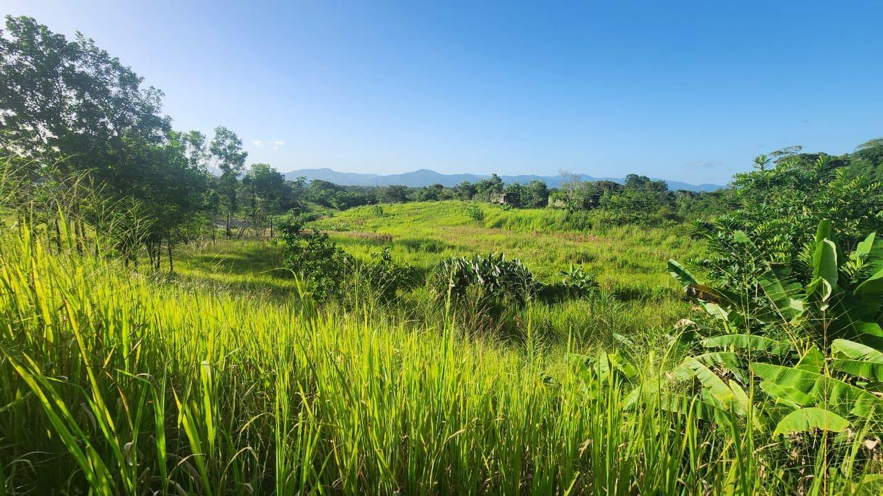 Scenic Residential Land for Sale Las Lomas — photo 3