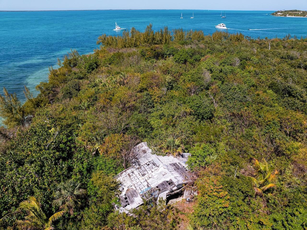 64.67 Acres Green Turtle — photo 5