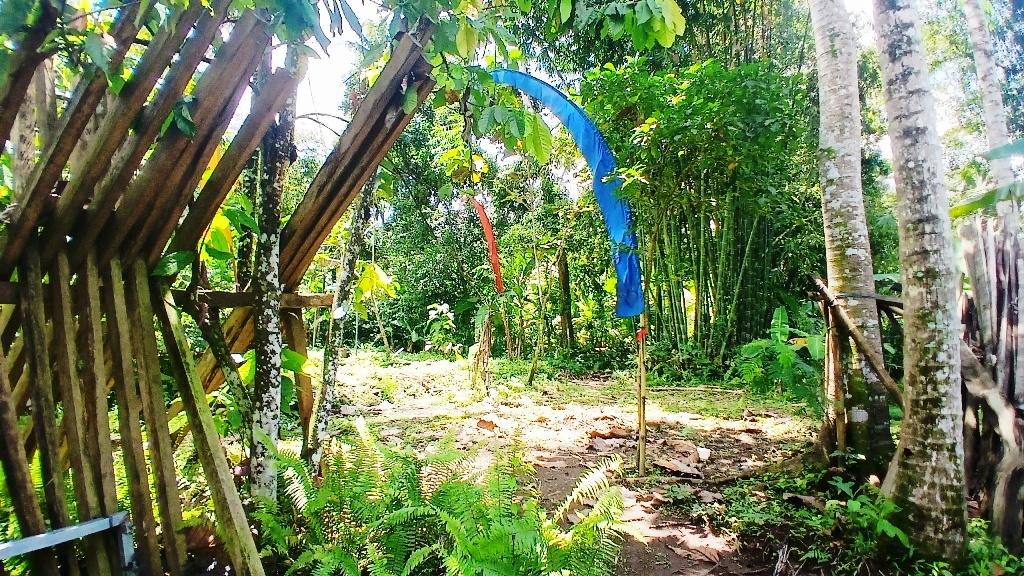 Quick Sale Freehold Residential Land in Bedulu – Near Ubud & Goa Gajah — photo 1