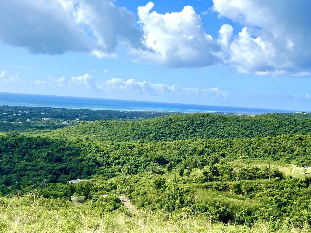 Residential Land for Sale - 37 Hope Pr, St. Croix, VI — photo 1