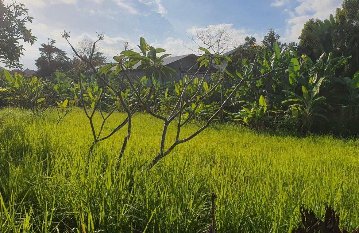 Excellent 1000sqm land lease in Kerobokan, Canggu, Bali, Indonesia — photo 5