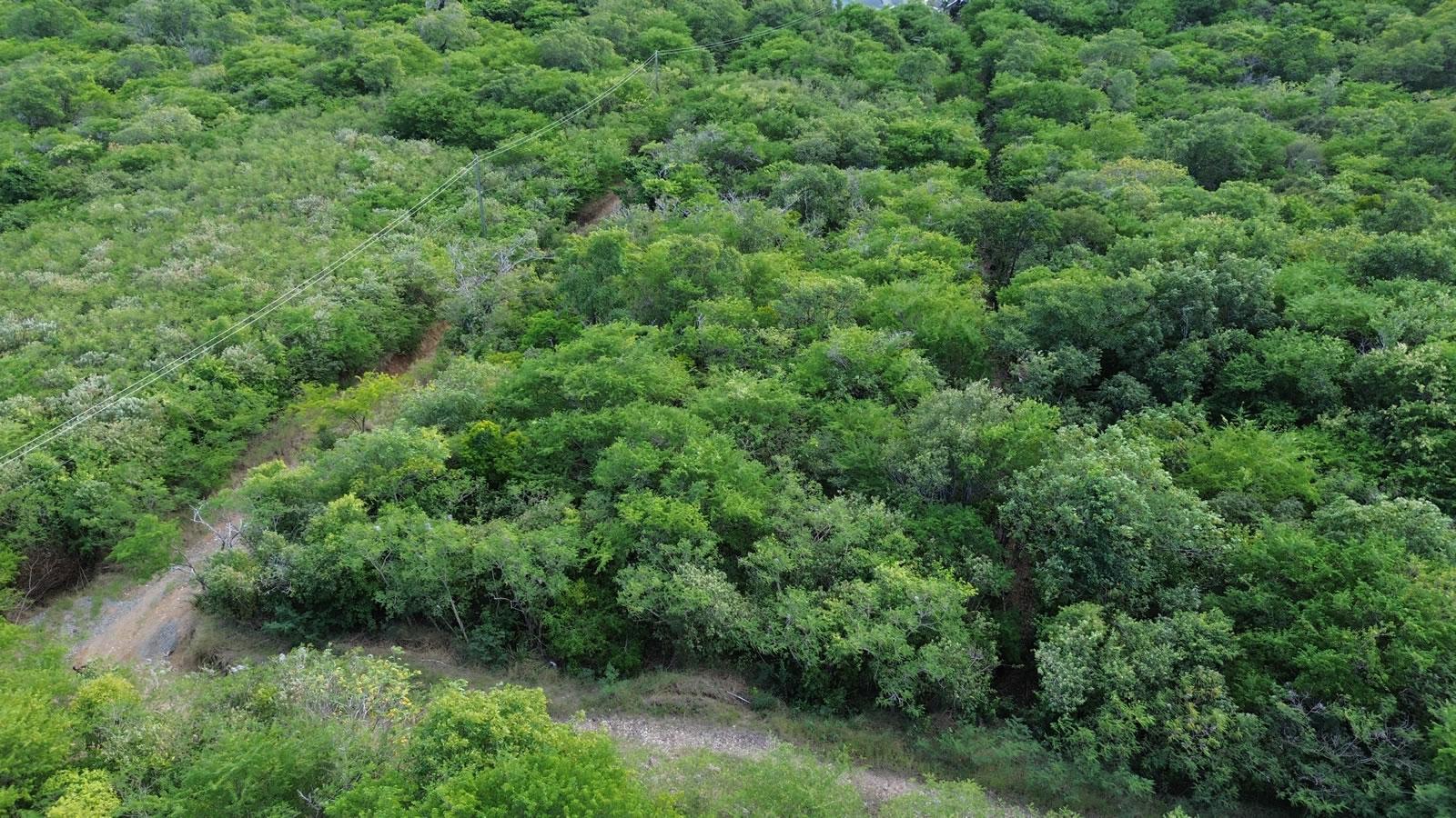 0.98 Acres of Land for Sale in Cas en Bas, St Lucia — photo 2