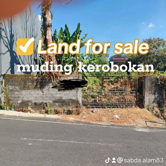 Studio house in Denpasar — photo 1