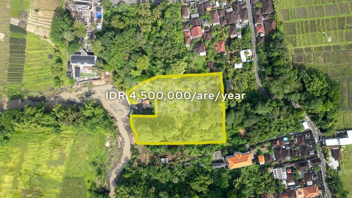 80-Year Leasehold Riverfront Land, 3,000 m² in Kelating Tranquil Pink Zone • 5 Minutes to the Beach — photo 1