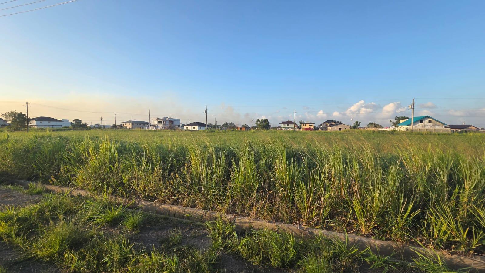 Couva Land For Sale — photo 1