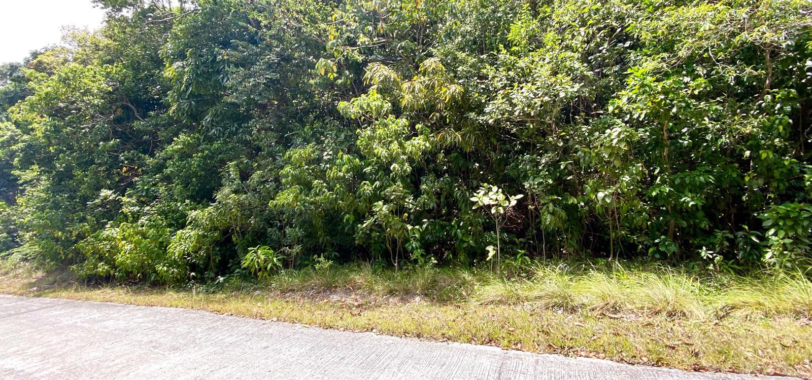 1 Acre Lot for Sale, Upper Fern Hill, Nevis — photo 4