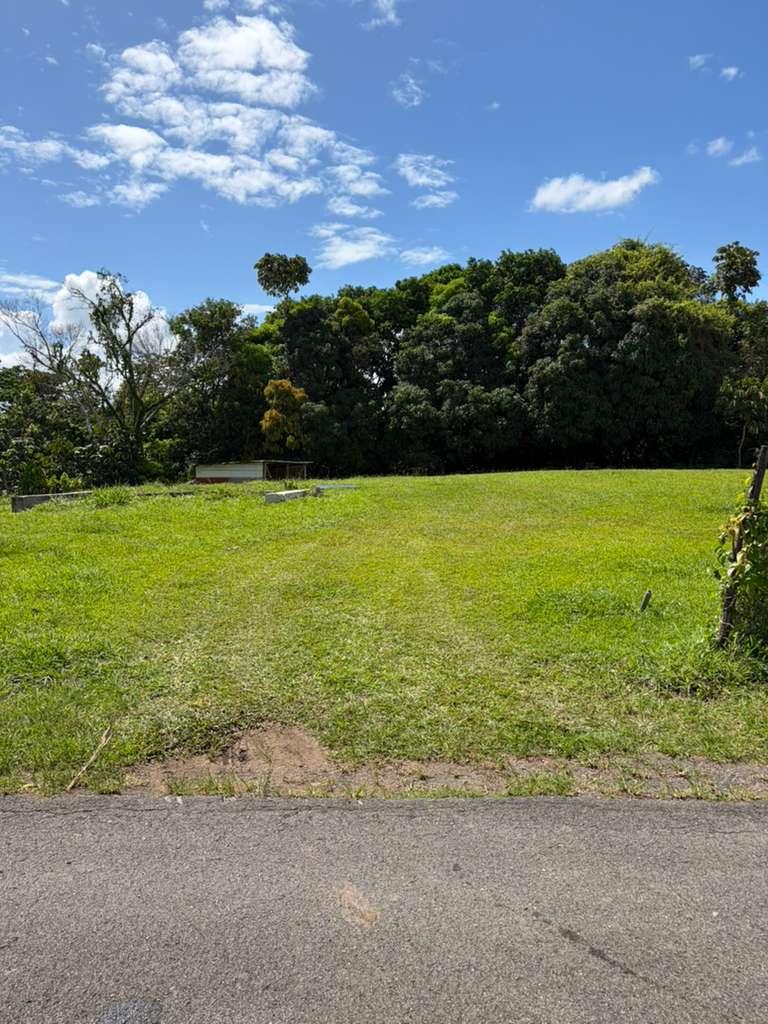 Lot in Bo. Calabaza, San Sebastián, P.R — photo 2