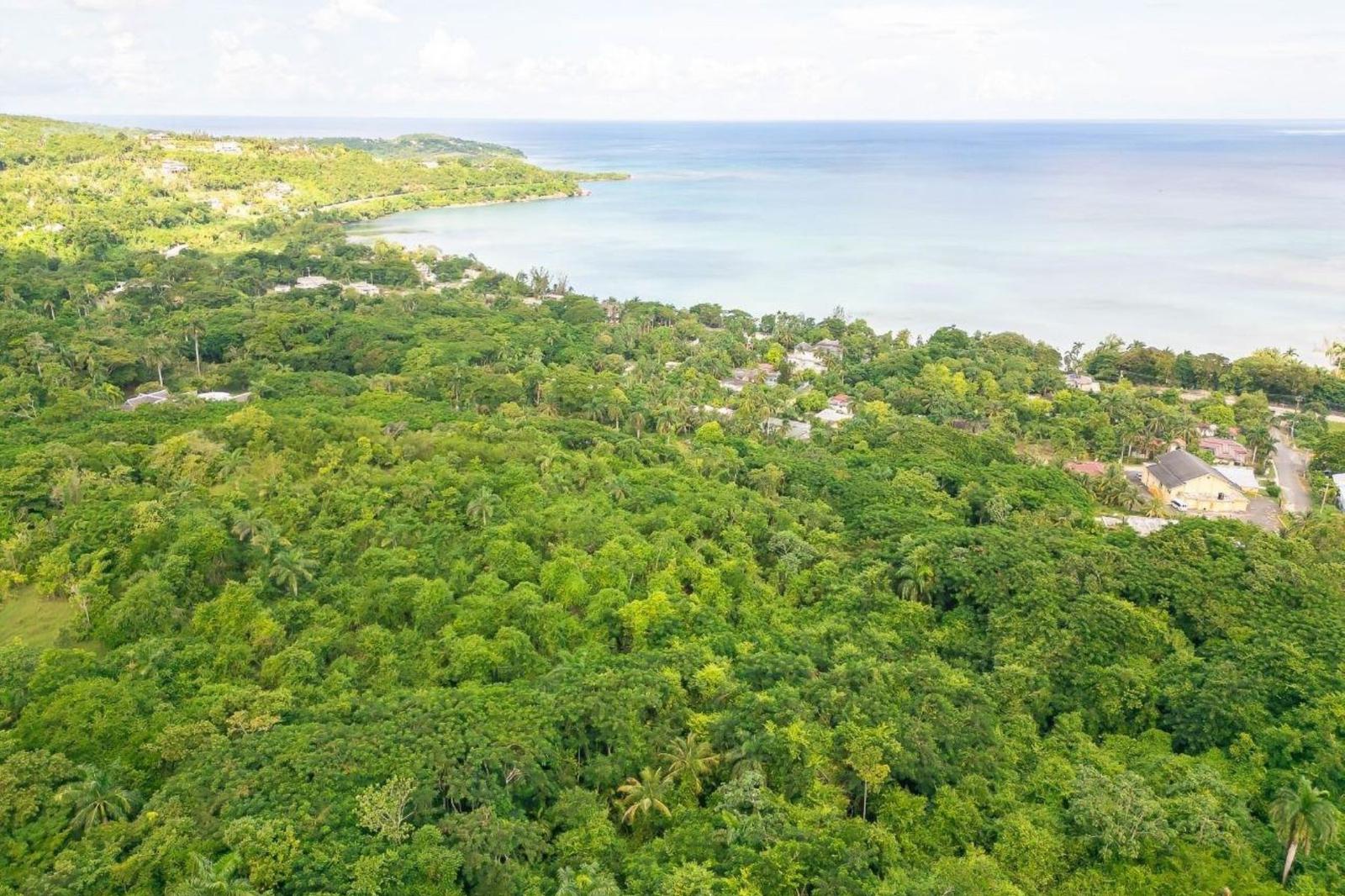 2.86 Acre Lot for Sale, Great River Estate, St James, Jamaica — photo 3